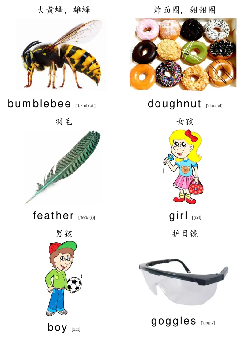 廖彩杏书单单词卡片_初中英语语法_最全初中英语语法习题_No.36单词配图卡