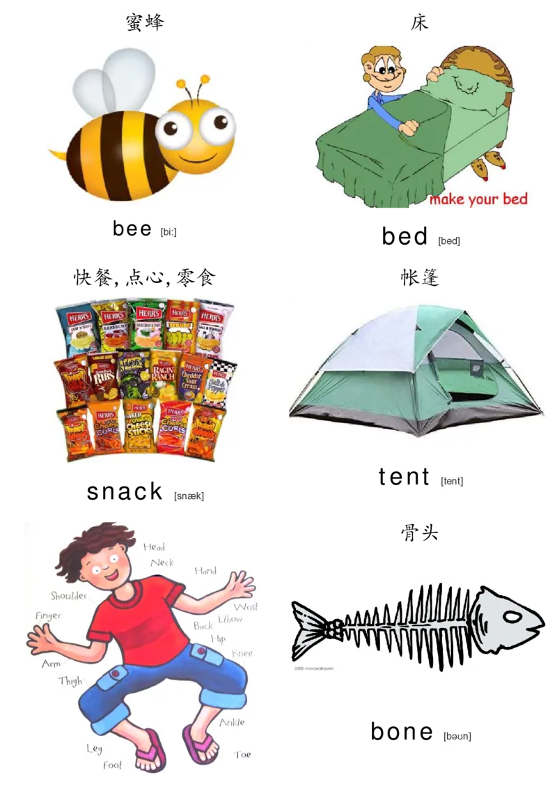 廖彩杏书单单词卡片_初中英语语法_最全初中英语语法习题_No.36单词配图卡