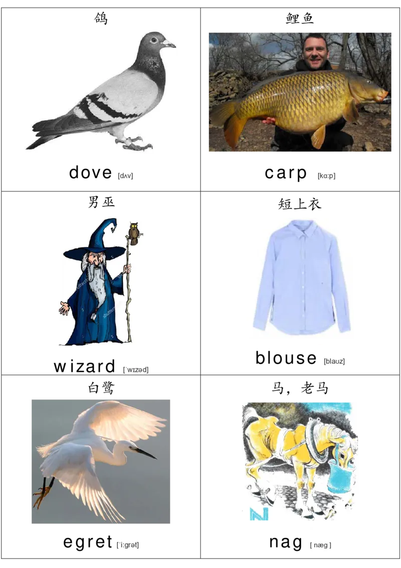 廖彩杏书单单词卡片_初中英语语法_最全初中英语语法习题_No.36单词配图卡