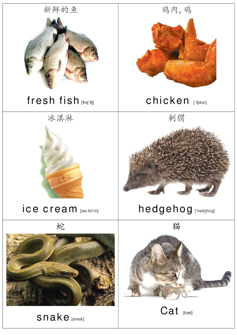 廖彩杏书单单词卡片_初中英语语法_最全初中英语语法习题_No.36单词配图卡