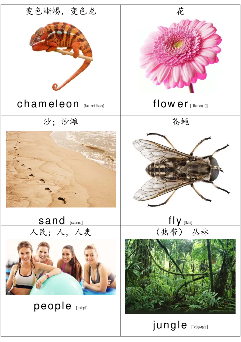 廖彩杏书单单词卡片_初中英语语法_最全初中英语语法习题_No.36单词配图卡