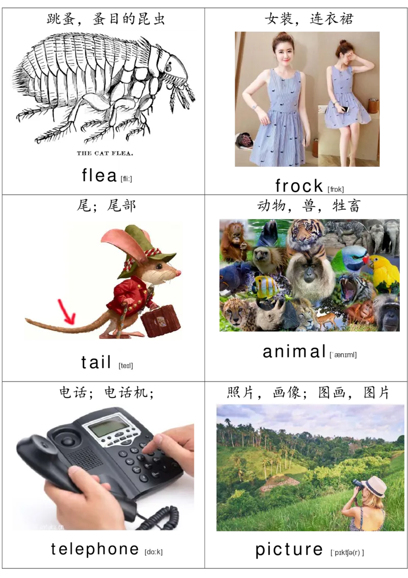 廖彩杏书单单词卡片_初中英语语法_最全初中英语语法习题_No.36单词配图卡