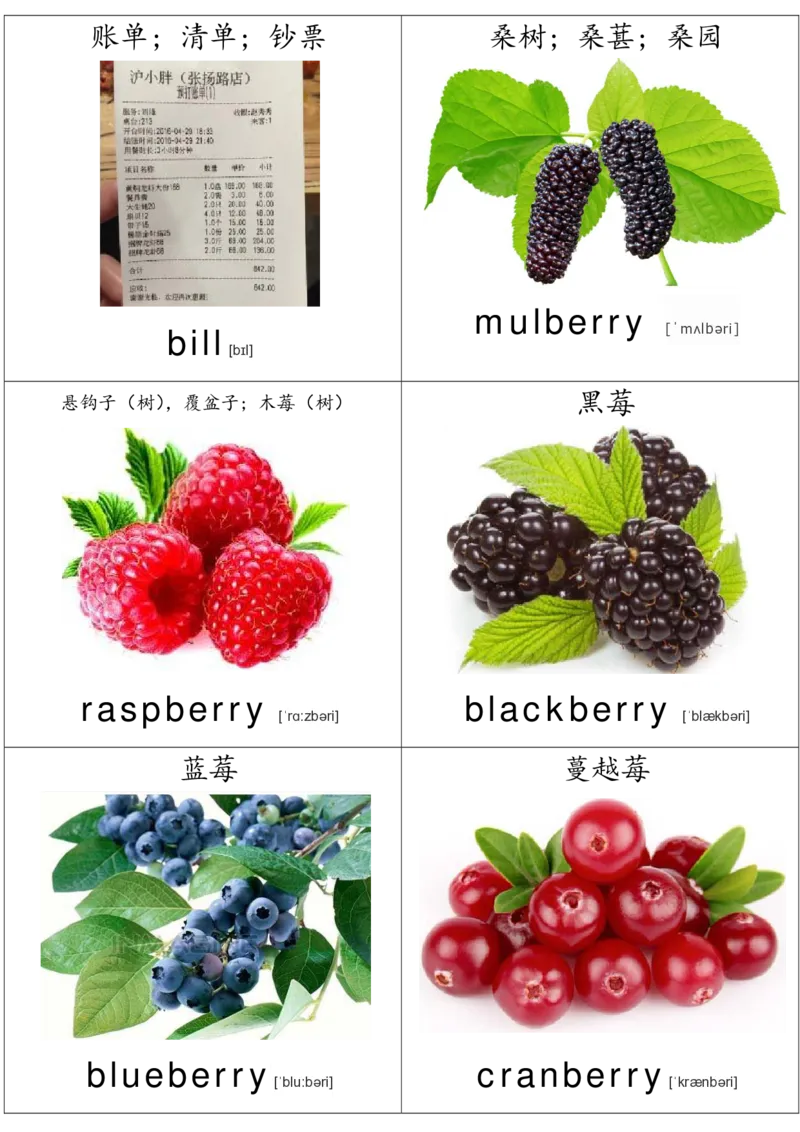 廖彩杏书单单词卡片_初中英语语法_最全初中英语语法习题_No.36单词配图卡