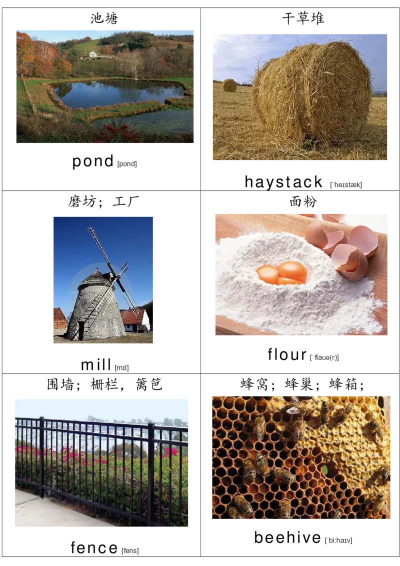 廖彩杏书单单词卡片_初中英语语法_最全初中英语语法习题_No.36单词配图卡