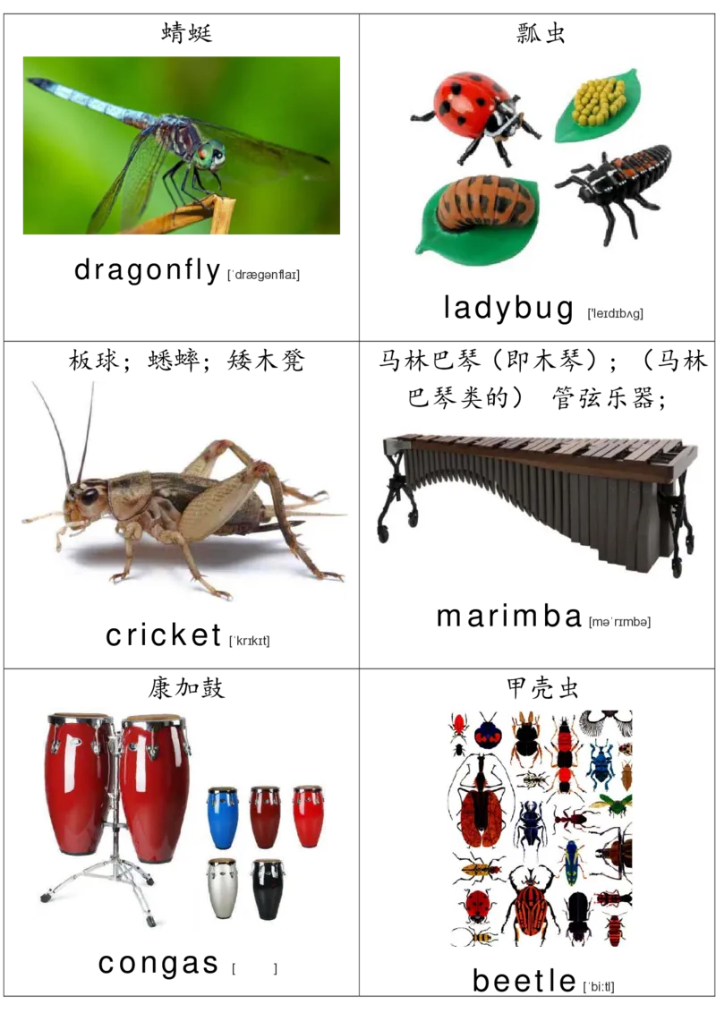 廖彩杏书单单词卡片_初中英语语法_最全初中英语语法习题_No.36单词配图卡