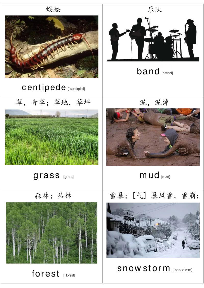 廖彩杏书单单词卡片_初中英语语法_最全初中英语语法习题_No.36单词配图卡