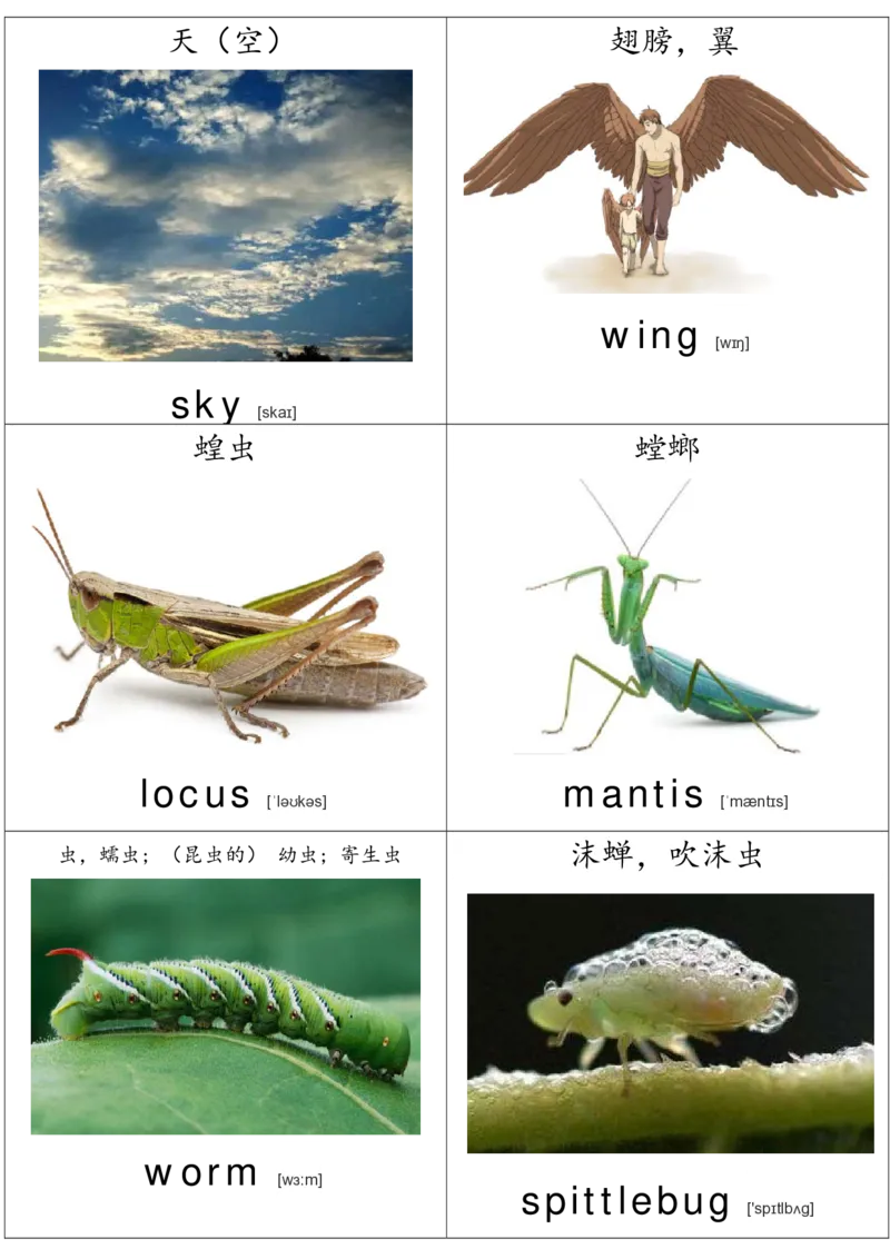 廖彩杏书单单词卡片_初中英语语法_最全初中英语语法习题_No.36单词配图卡