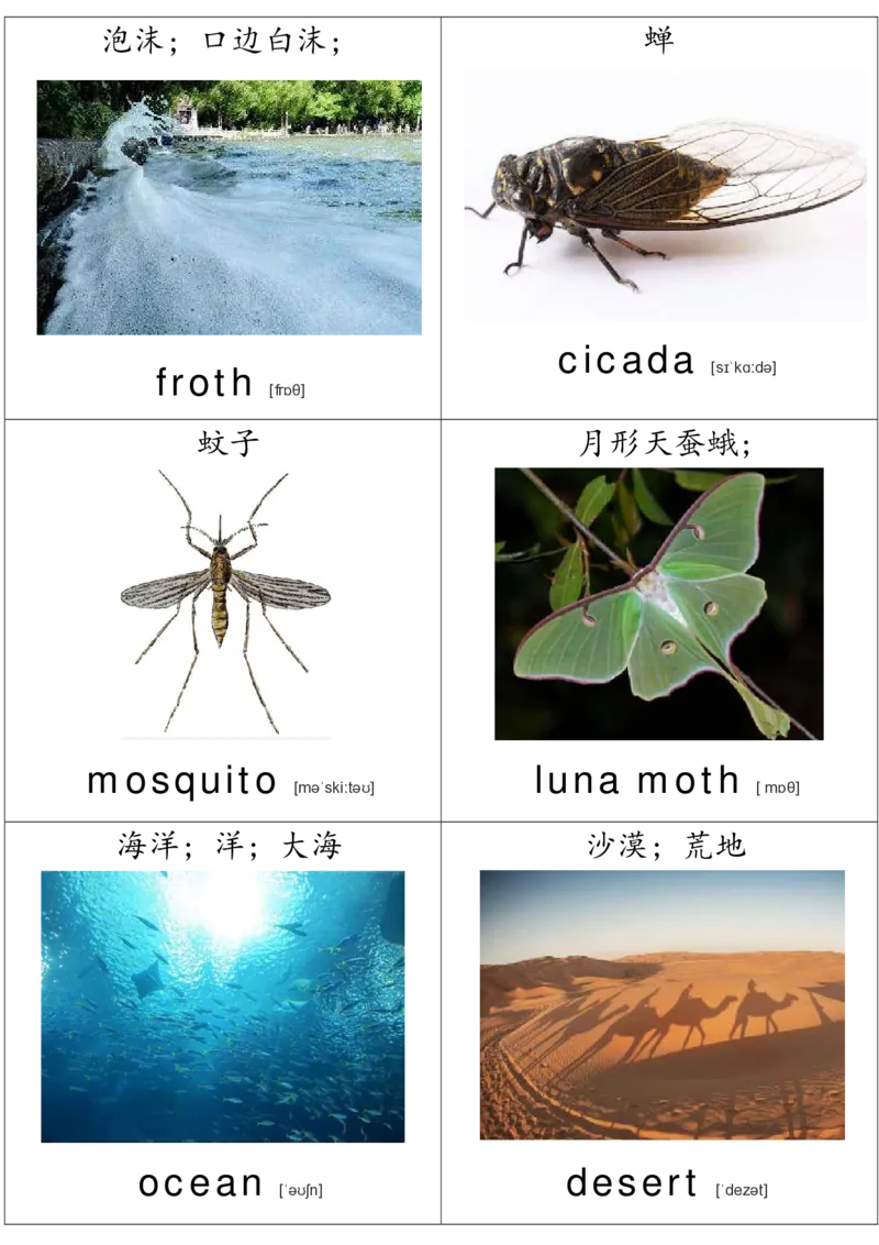 廖彩杏书单单词卡片_初中英语语法_最全初中英语语法习题_No.36单词配图卡