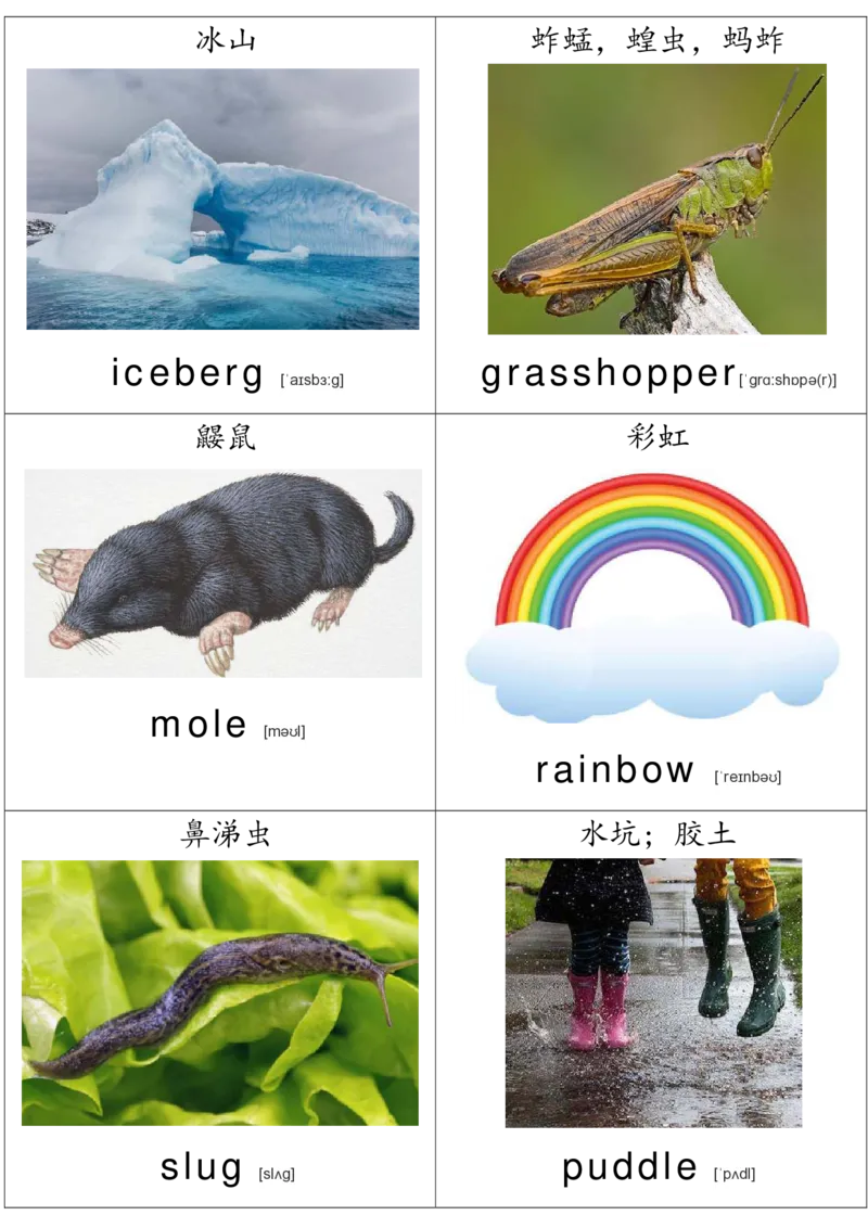 廖彩杏书单单词卡片_初中英语语法_最全初中英语语法习题_No.36单词配图卡