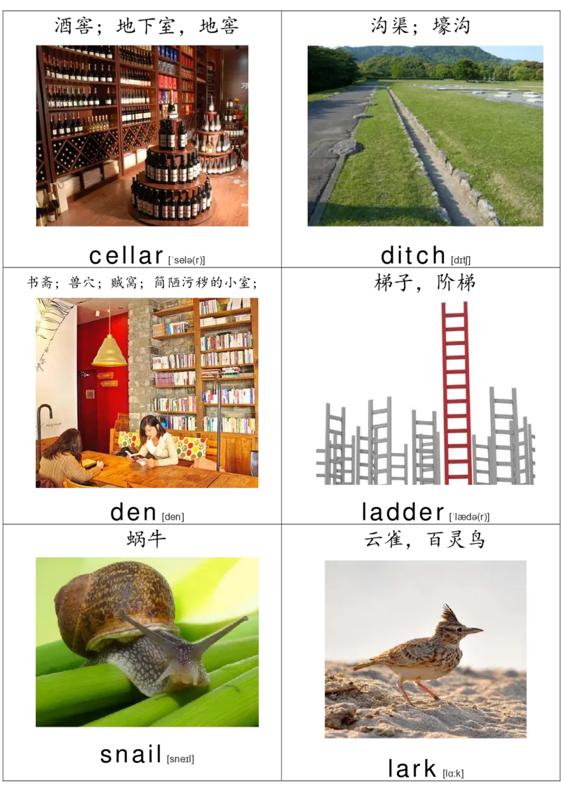 廖彩杏书单单词卡片_初中英语语法_最全初中英语语法习题_No.36单词配图卡