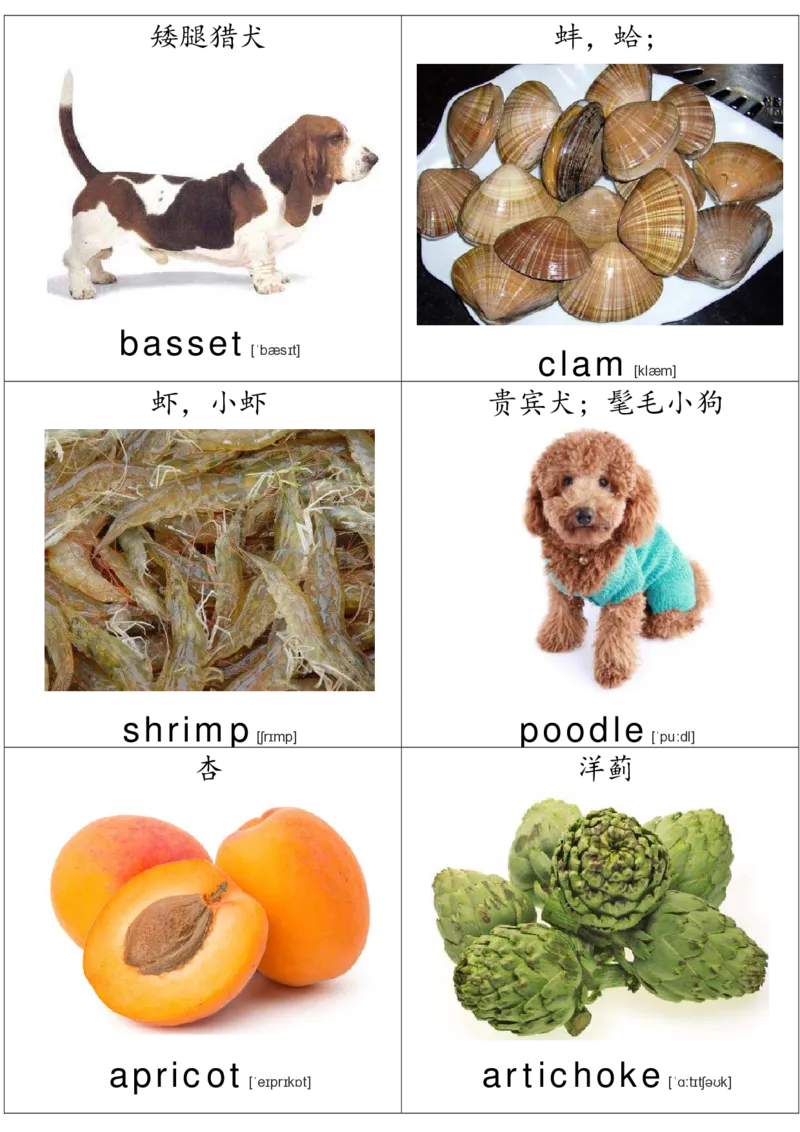 廖彩杏书单单词卡片_初中英语语法_最全初中英语语法习题_No.36单词配图卡