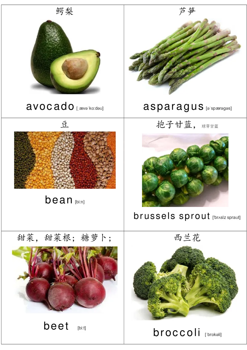 廖彩杏书单单词卡片_初中英语语法_最全初中英语语法习题_No.36单词配图卡