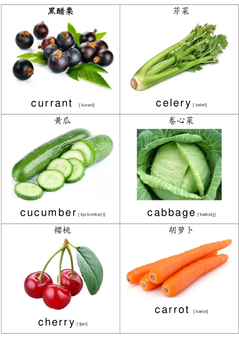 廖彩杏书单单词卡片_初中英语语法_最全初中英语语法习题_No.36单词配图卡