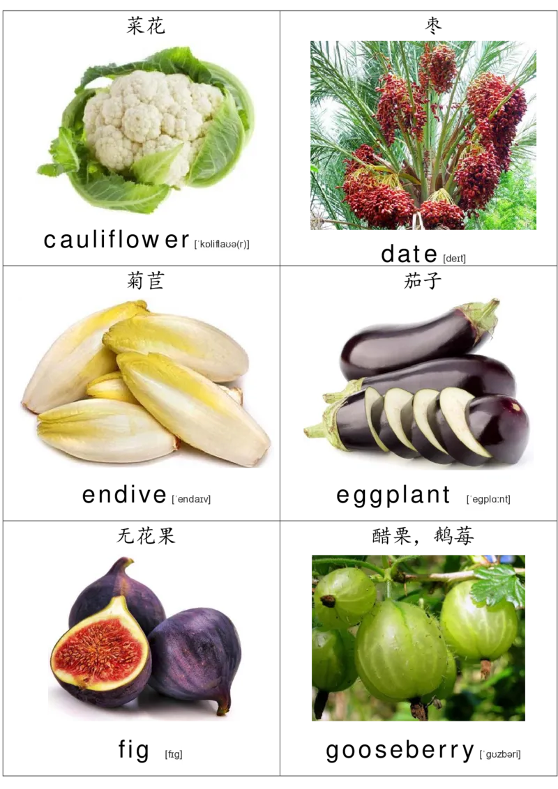 廖彩杏书单单词卡片_初中英语语法_最全初中英语语法习题_No.36单词配图卡