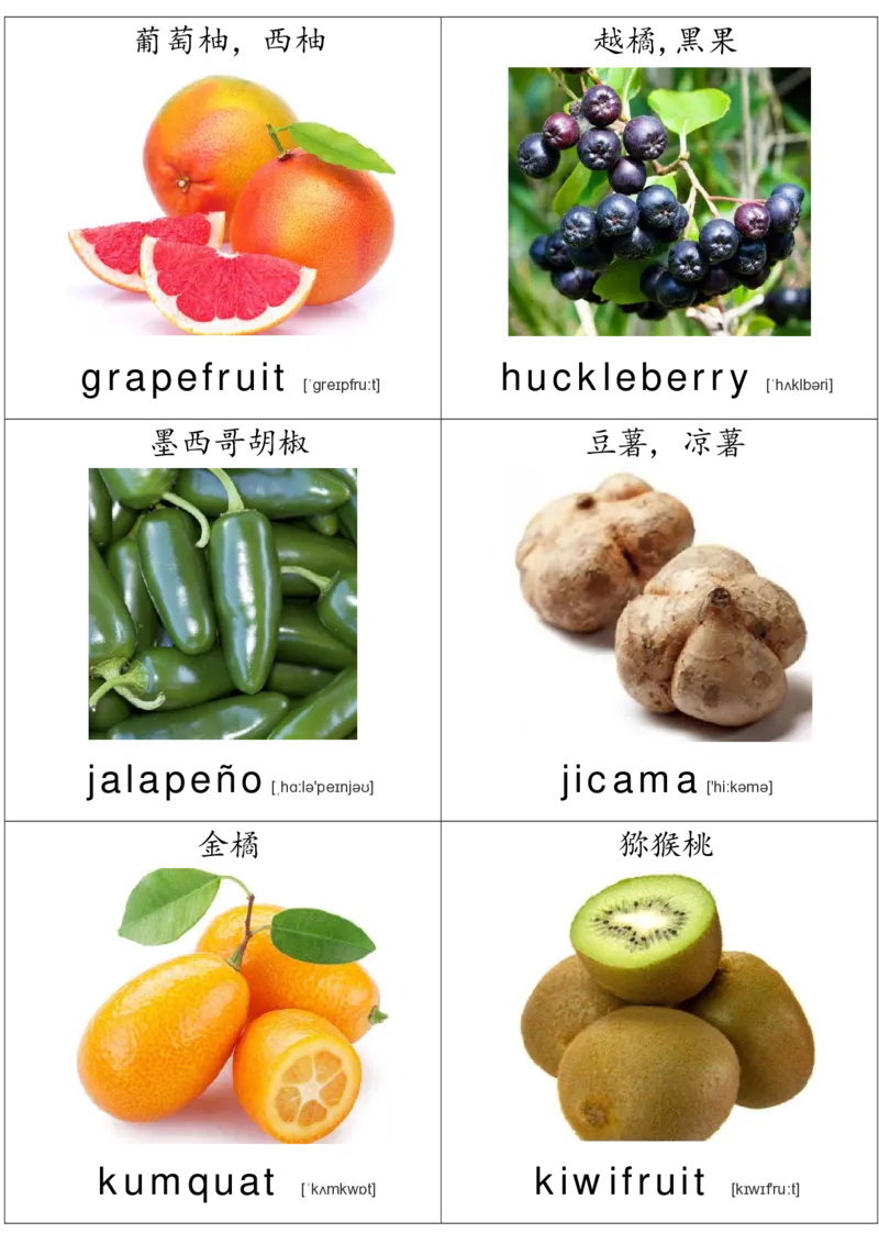 廖彩杏书单单词卡片_初中英语语法_最全初中英语语法习题_No.36单词配图卡