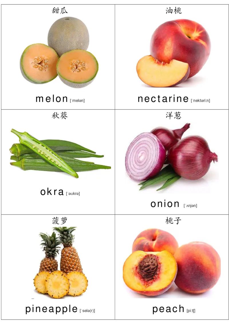 廖彩杏书单单词卡片_初中英语语法_最全初中英语语法习题_No.36单词配图卡