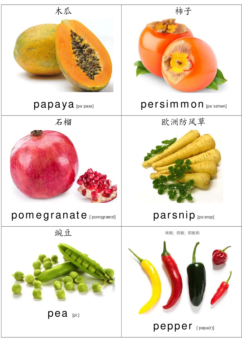 廖彩杏书单单词卡片_初中英语语法_最全初中英语语法习题_No.36单词配图卡