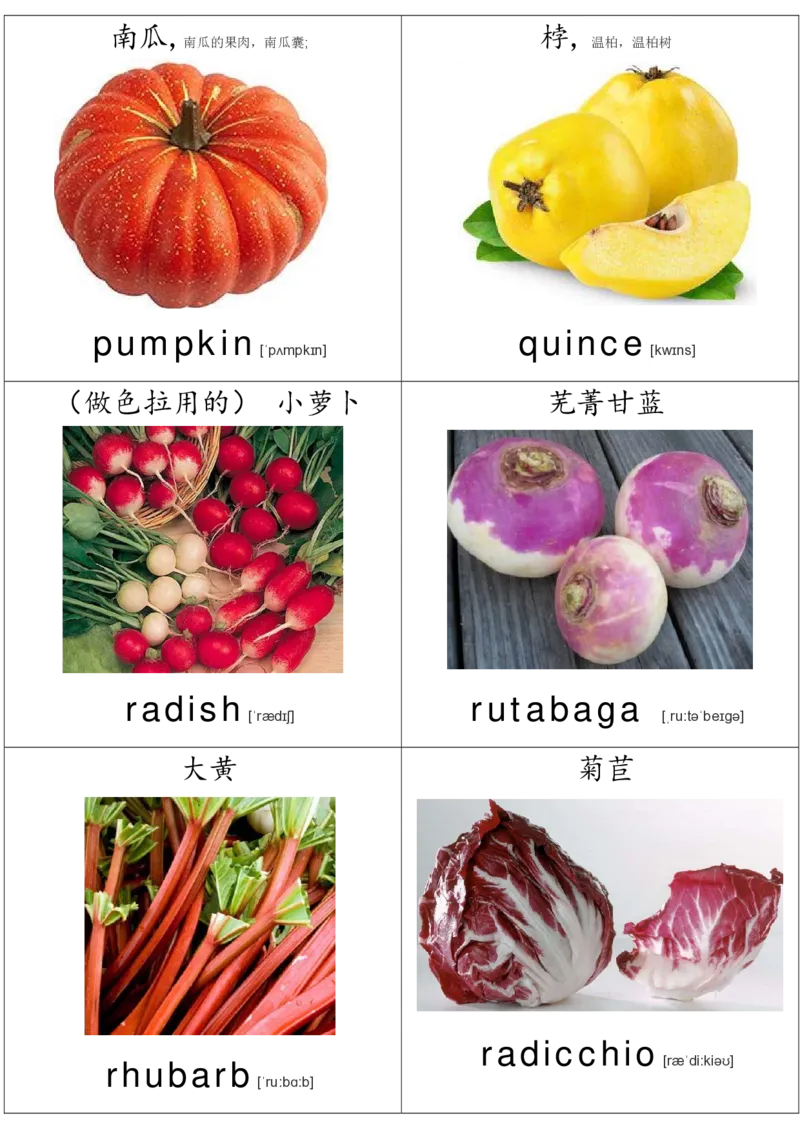 廖彩杏书单单词卡片_初中英语语法_最全初中英语语法习题_No.36单词配图卡