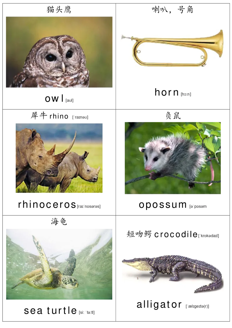 廖彩杏书单单词卡片_初中英语语法_最全初中英语语法习题_No.36单词配图卡