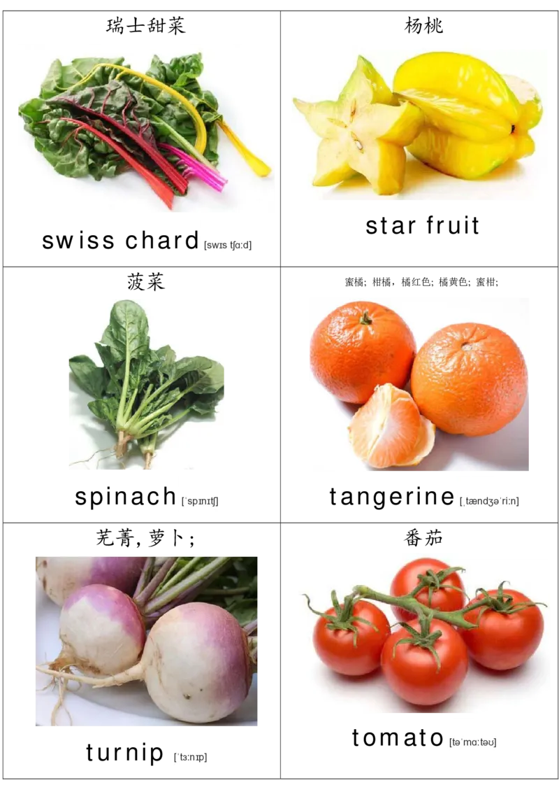 廖彩杏书单单词卡片_初中英语语法_最全初中英语语法习题_No.36单词配图卡