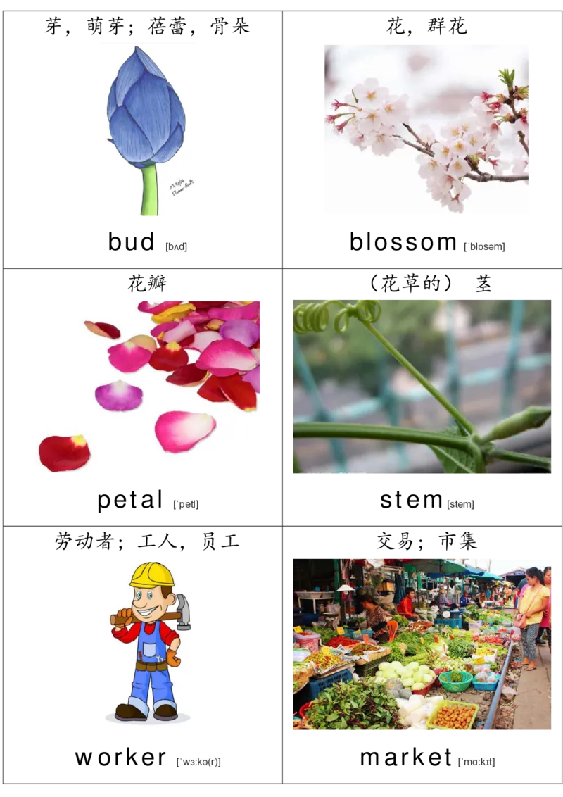 廖彩杏书单单词卡片_初中英语语法_最全初中英语语法习题_No.36单词配图卡