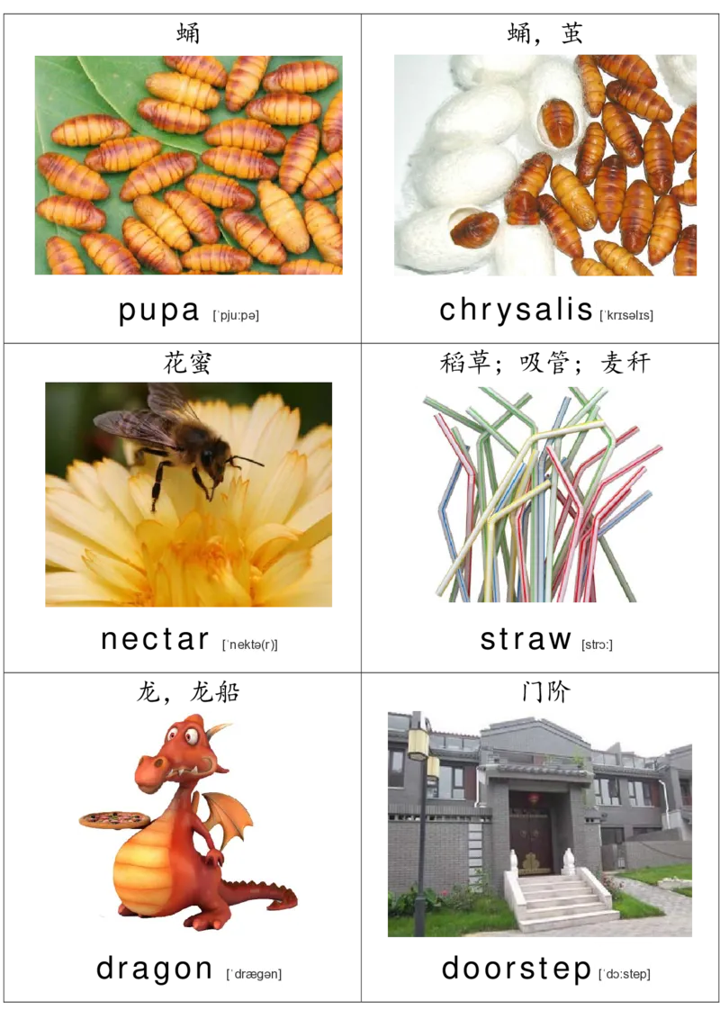 廖彩杏书单单词卡片_初中英语语法_最全初中英语语法习题_No.36单词配图卡