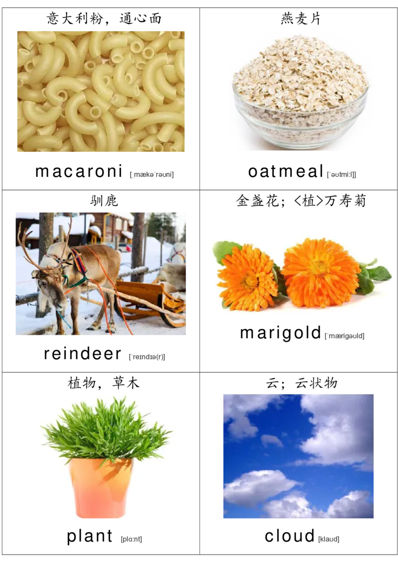 廖彩杏书单单词卡片_初中英语语法_最全初中英语语法习题_No.36单词配图卡