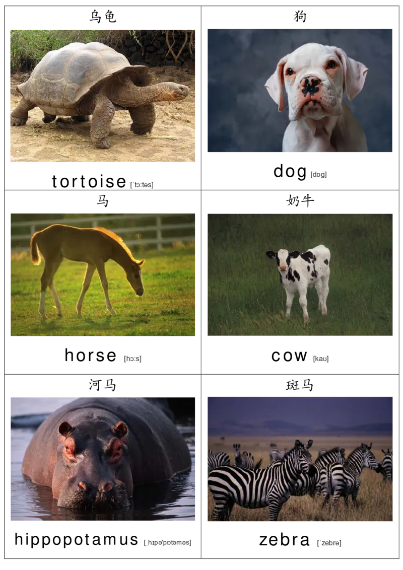 廖彩杏书单单词卡片_初中英语语法_最全初中英语语法习题_No.36单词配图卡