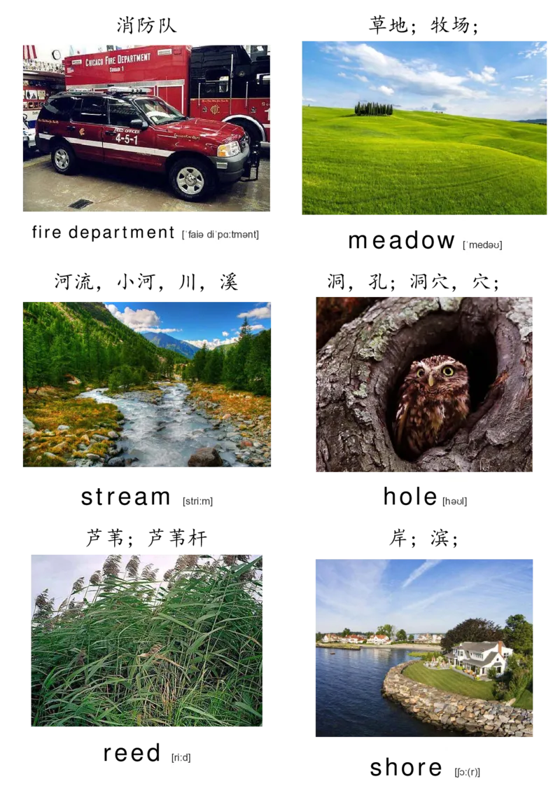 廖彩杏书单单词卡片_初中英语语法_最全初中英语语法习题_No.36单词配图卡