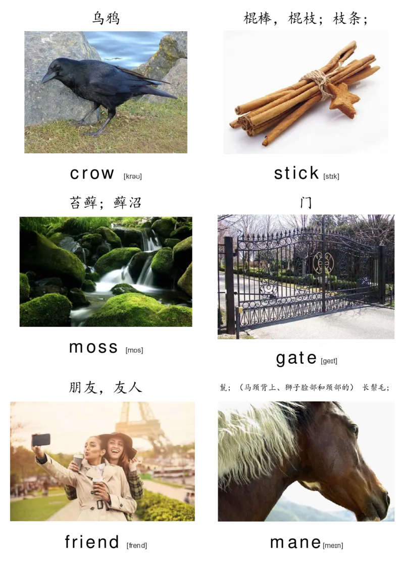 廖彩杏书单单词卡片_初中英语语法_最全初中英语语法习题_No.36单词配图卡