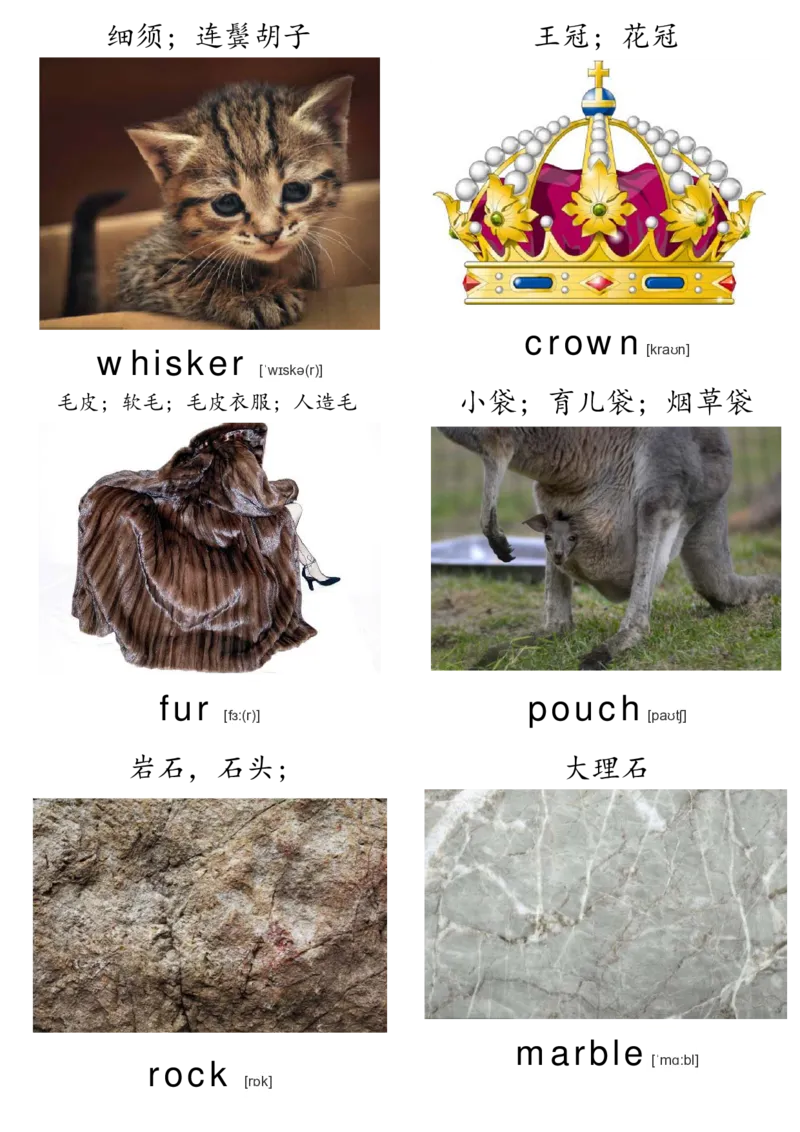 廖彩杏书单单词卡片_初中英语语法_最全初中英语语法习题_No.36单词配图卡