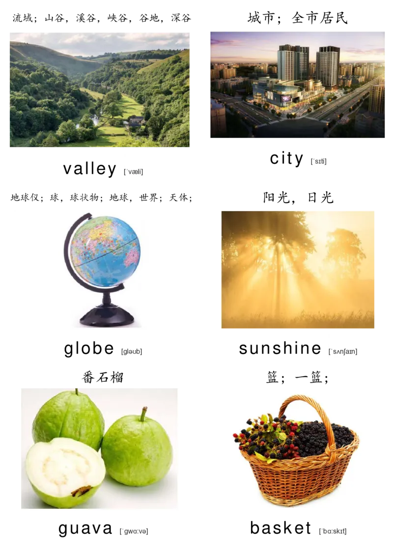 廖彩杏书单单词卡片_初中英语语法_最全初中英语语法习题_No.36单词配图卡