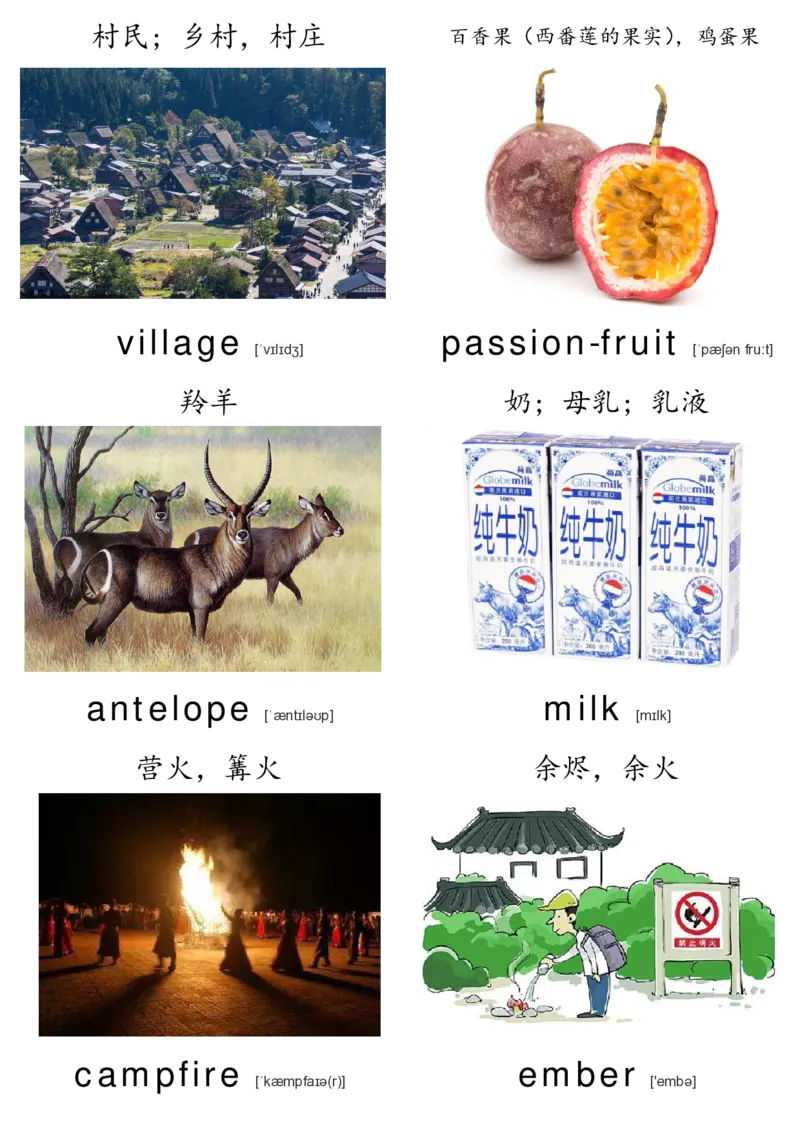 廖彩杏书单单词卡片_初中英语语法_最全初中英语语法习题_No.36单词配图卡