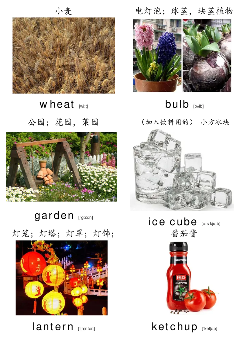 廖彩杏书单单词卡片_初中英语语法_最全初中英语语法习题_No.36单词配图卡