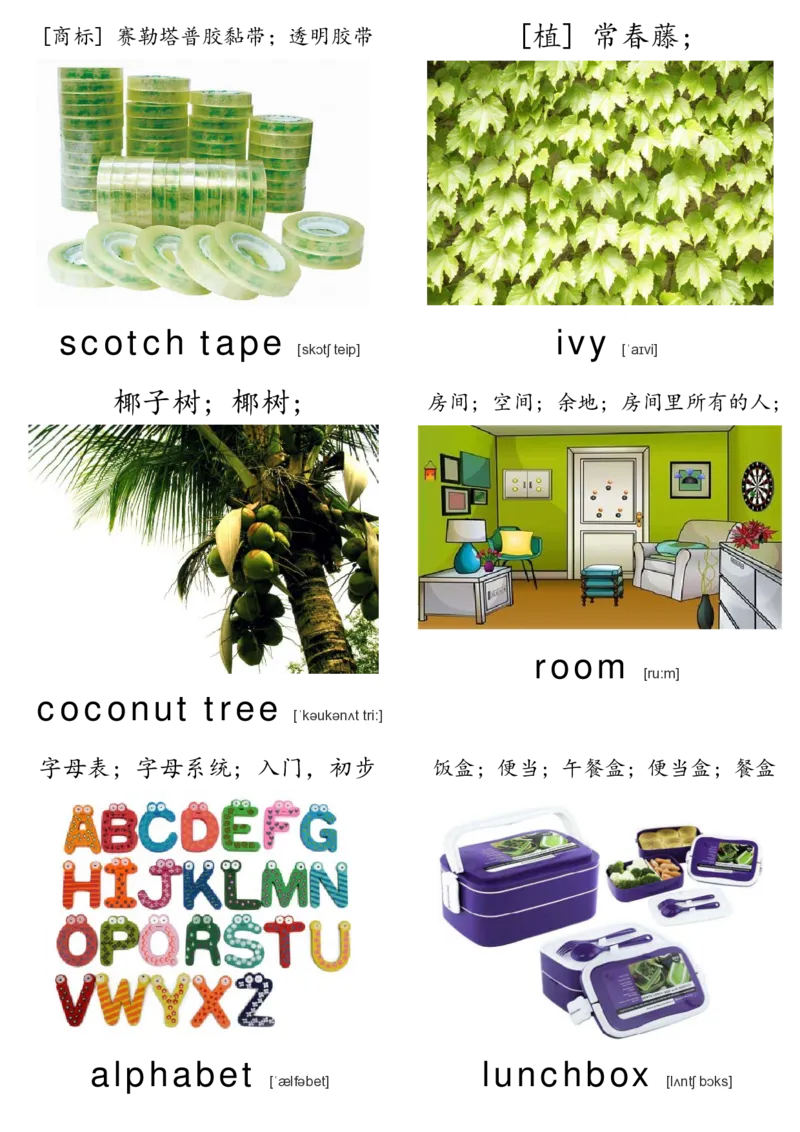 廖彩杏书单单词卡片_初中英语语法_最全初中英语语法习题_No.36单词配图卡