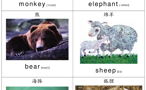 廖彩杏书单单词卡片_初中英语语法_最全初中英语语法习题_No.36单词配图卡