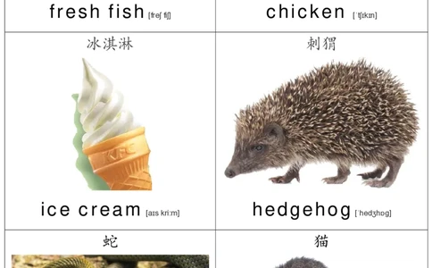 廖彩杏书单单词卡片_初中英语语法_最全初中英语语法习题_No.36单词配图卡