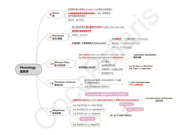 37集音系学和形态学_4-教培资料-26年最新资料-同步更新_科一科二电子资料合集中小幼（笔记真题知识点汇总等）文件多，按需保存_各机构笔记合集（中小幼）推荐_02coco合集