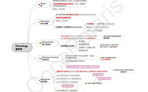 37集音系学和形态学_4-教培资料-26年最新资料-同步更新_科一科二电子资料合集中小幼（笔记真题知识点汇总等）文件多，按需保存_各机构笔记合集（中小幼）推荐_02coco合集