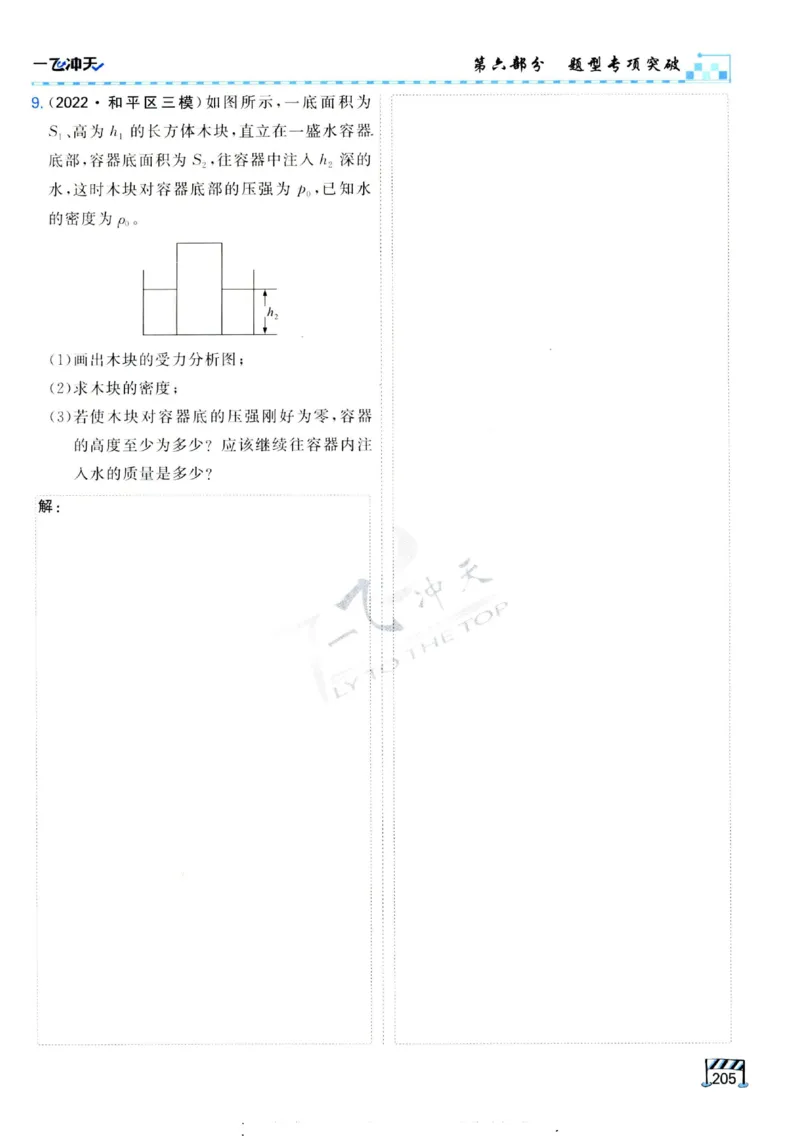 2025《一飞冲天-中考专项》物理_《一飞冲天-中考专项》2026版_一飞冲天-中考专项（2025版）