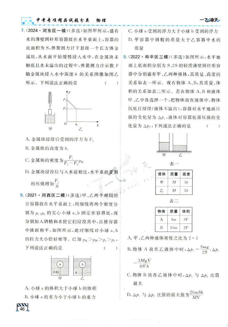 2025《一飞冲天-中考专项》物理_《一飞冲天-中考专项》2026版_一飞冲天-中考专项（2025版）