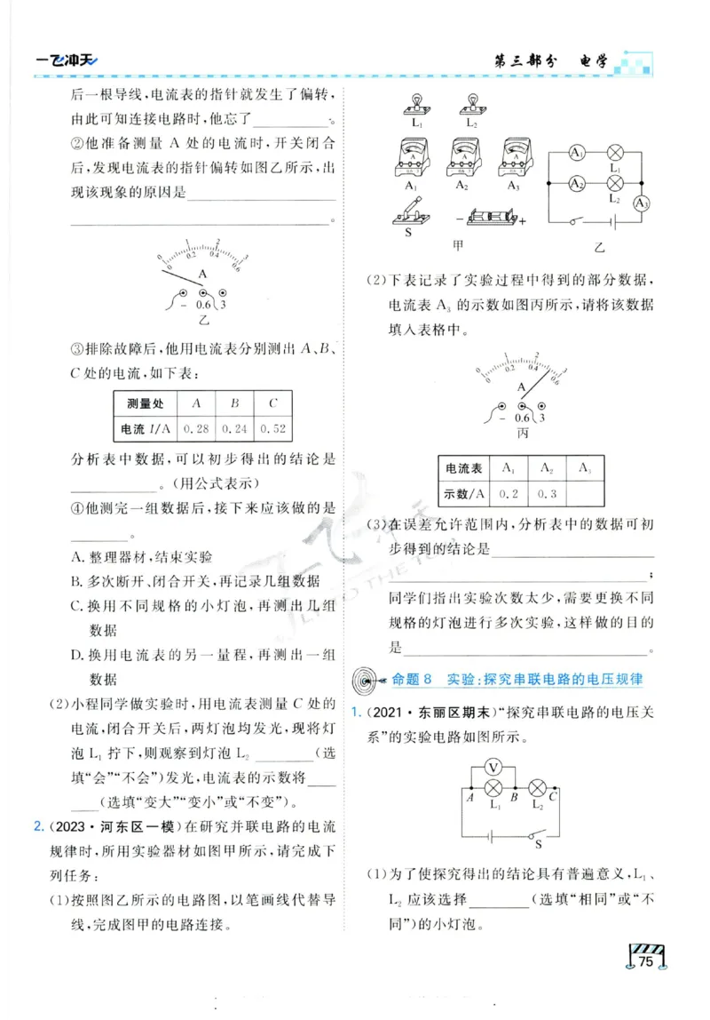 2025《一飞冲天-中考专项》物理_《一飞冲天-中考专项》2026版_一飞冲天-中考专项（2025版）