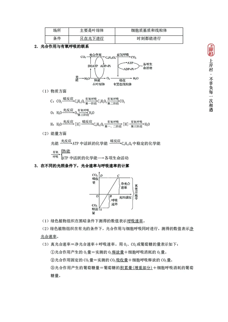 生物专项考点48：光合作用与呼吸作用_2026考公资料_（28）上岸村合集（司马、章晓铭、王永恒、天晓、忠政、丁旭等）_2025合集_92024上岸村广东省考科学推理套卷班_课件