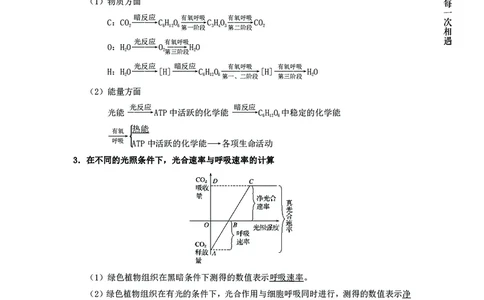 生物专项考点48：光合作用与呼吸作用_2026考公资料_（28）上岸村合集（司马、章晓铭、王永恒、天晓、忠政、丁旭等）_2025合集_92024上岸村广东省考科学推理套卷班_课件