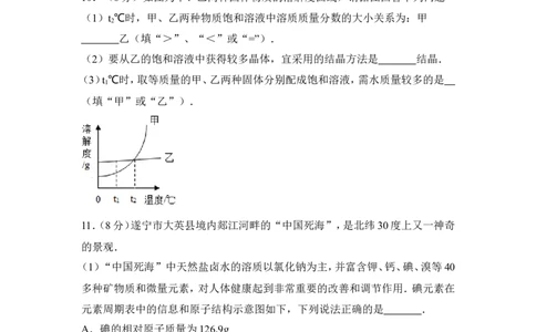 2017年四川省遂宁市中考化学试卷（含解析版）_中考真题_5.化学中考真题2015-2024年_地区卷_四川省_四川遂宁化学12-22