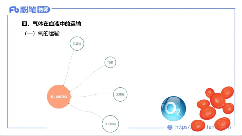 6.15-中学科目三理论精讲9-运动生理学4-岳博_4-教培资料-26年最新资料-同步更新_科一科二电子资料合集中小幼（笔记真题知识点汇总等）文件多，按需保存_01西米合集_1理论精讲