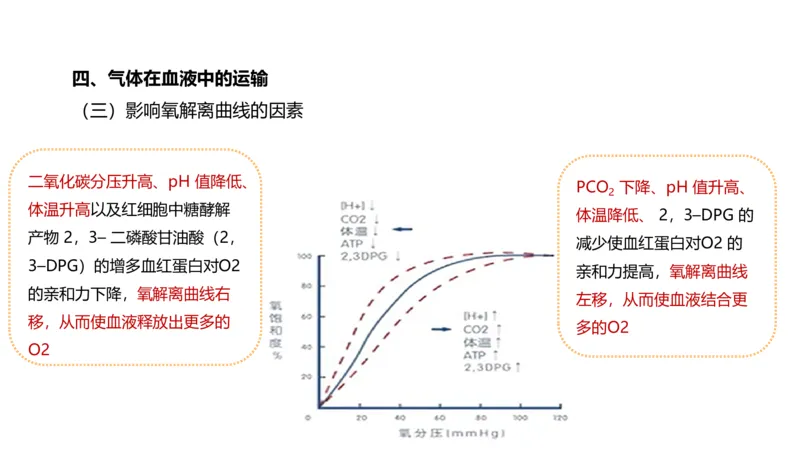 6.15-中学科目三理论精讲9-运动生理学4-岳博_4-教培资料-26年最新资料-同步更新_科一科二电子资料合集中小幼（笔记真题知识点汇总等）文件多，按需保存_01西米合集_1理论精讲