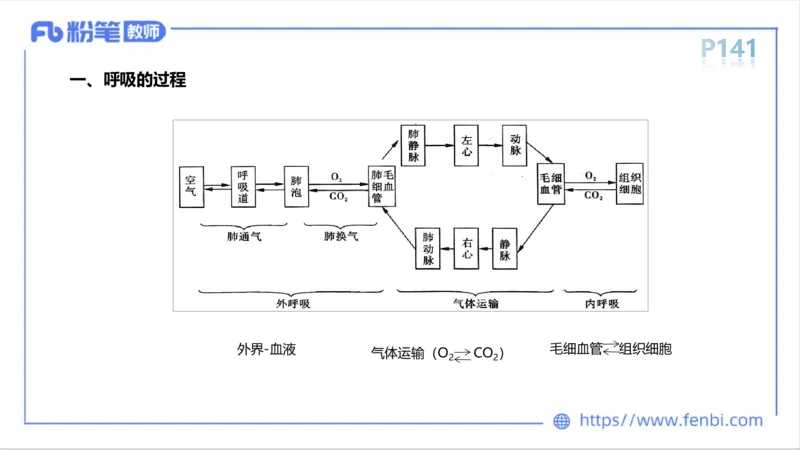 6.15-中学科目三理论精讲9-运动生理学4-岳博_4-教培资料-26年最新资料-同步更新_科一科二电子资料合集中小幼（笔记真题知识点汇总等）文件多，按需保存_01西米合集_1理论精讲