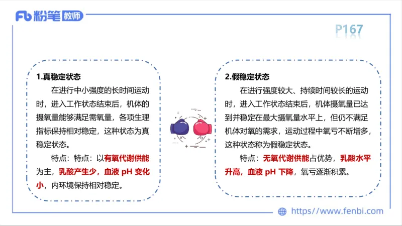 6.15-中学科目三理论精讲9-运动生理学4-岳博_4-教培资料-26年最新资料-同步更新_科一科二电子资料合集中小幼（笔记真题知识点汇总等）文件多，按需保存_01西米合集_1理论精讲
