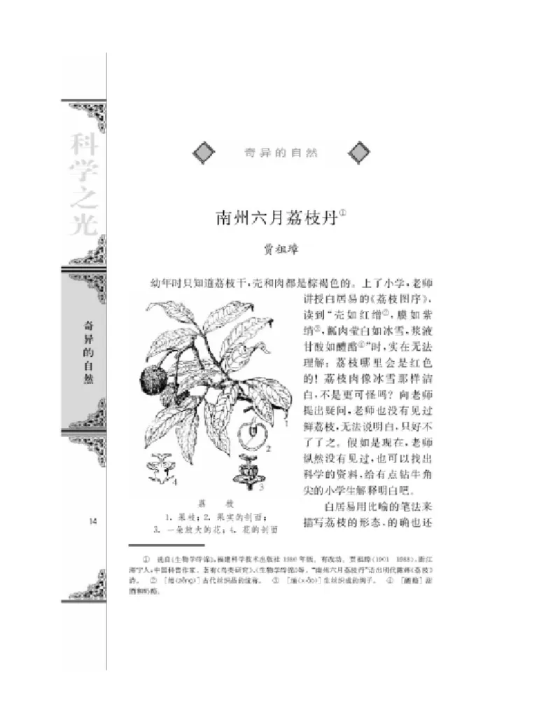 3苏教版语文必修五_4-教培资料-26年最新资料-同步更新_初中高中教资_03科三专项（进去保存报考的学科即可）_02科三专项（笔记真题思维导图教学设计版本二）